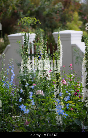 Chelsea Flower Show 2018 Stockfoto