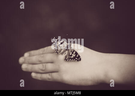 Painted Lady oder kosmopolitische Schmetterling sitzt auf der Hand - Vintage Sepia mit Copy-Space Stockfoto
