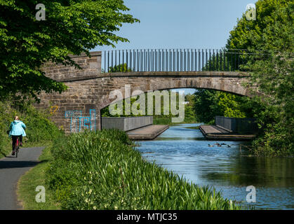 Frau Reiten Fahrrad auf Leinpfad, Union Canal, Edinburgh, Schottland, Großbritannien, mit Aquädukt und Enten Stockfoto