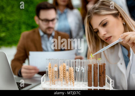 Universität weiblichen Biologe die Analyse der Probe der Anlage in das Labor Rohr, Bewässerung mit Tropfen der nahrhaften Flüssigkeit. Stockfoto