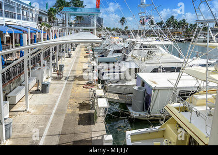 Bayfront Park in Miami Stockfoto