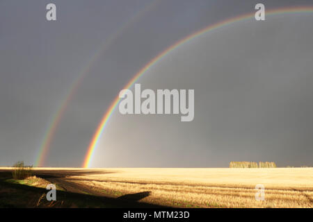 Großes Doppelzimmer Regenbogen über Feld Stockfoto