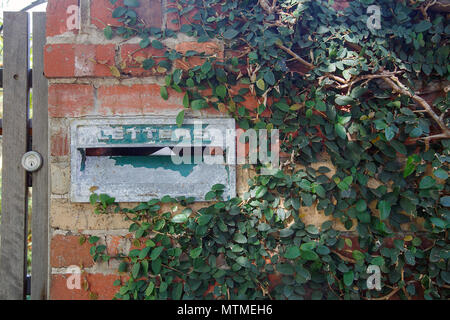 Traditionelle Mail Box in einem Garten Wand mit dem Wort Buchstaben darauf geschrieben. Mit Efeu bewachsen und rustikal. Stockfoto