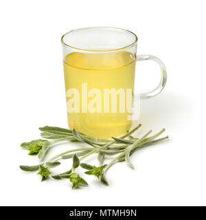 Glas Tee mit einem Zweig frischen grünen ironwort, sideritus, für Kräutertee auf weißem Hintergrund Stockfoto