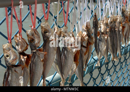 Fischfilets hängen am Zaun, um bei Sonnenschein zu trocknen, Macao, China. Stockfoto