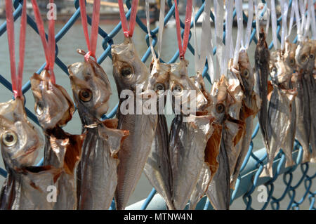 Fischfilets hängen am Zaun, um bei Sonnenschein zu trocknen, Macao, China. Stockfoto