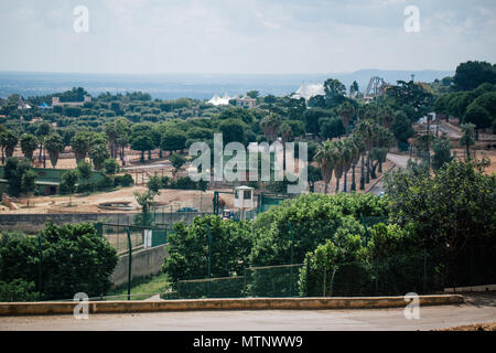 Fasano Zoo Safari in Italien Stockfoto