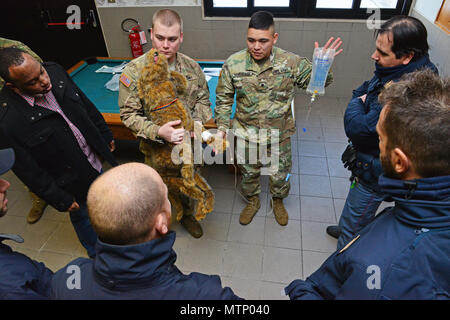 Us-Armee SPC. Jose Armendariz für die öffentliche Gesundheit Aktivität Italien zugewiesen ist, wird erläutert, wie eine medizinische Untersuchungen auf einem stofftier Hund auszuführen, um die italienische Polizei Squadra Cinofili K 9 Flughafen Venedig und Questura di Padova und US Air Force in der Caserma Ederle, Vicenza, Italien, Jan. 17, 2017. Militärische Gebrauchshund Mannschaften sind in der Patrouille, Droge und Explosive Detection und spezialisierte mission Funktionen für das Verteidigungsministerium und andere Regierungsbehörden verwendet. Der 525Th Military Working Dog Loslösung, gemeinsame Schulungen mit der italienischen Polizei Squadra Cinofili K 9 Flughafen Venedig und Questura di Padova Stockfoto