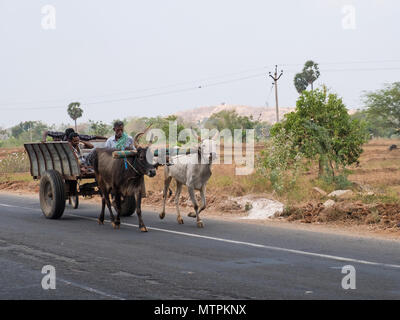 Bildung, Indien - 11. März 2018: Ochsenkarren und Passagiere unterwegs in Tamil Nadu. Solche Fahrzeuge sind ein alltäglicher Anblick auf ländlichen Straßen des Staates Stockfoto