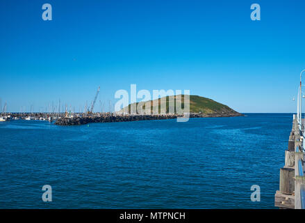 Muttonbird Island Nature Reserve mit dem Bruch Wand- und Yachten von der Anlegestelle in Coffs Harbour, New South Wales, Australien Stockfoto