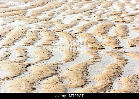 Nasser Sand am Strand in einer wunderschönen Welle Muster Stockfoto