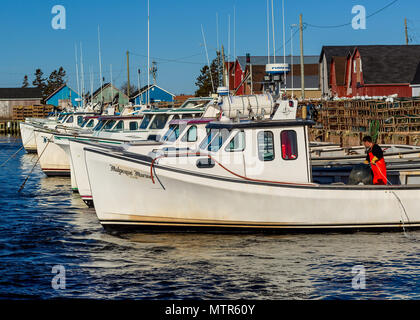 Lobster trap Tag Einstellung aus der Werft in Malpaque, Prince Edward Island, Kanada. Stockfoto