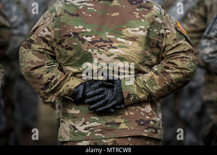 Eine Gruppe von etwa 90 US Army Reserve Soldaten aus dem 3. Transport Brigade (Auslandseinsätze) Praxis am Joint Base Myer-Henderson Hall, Virginia, am 31.01.19 Für die bevorstehenden Präsidentschaftswahlen Einweihung Parade in Washington, D.C. während der Proben, U.S. Army Reserve Soldaten praktiziert mit Mitgliedern der 3 US-Infanterie Regiment (Die Alte Garde), die US-Armee, West Point und die D.c. Nationalgarde, die etwa 500 Mitglieder und Kadetten betrugen. (U.S. Armee finden Foto von Master Sgt. Michel Sauret) Stockfoto