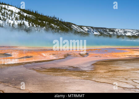 Grand Prismatic heißen Quellen im Yellowstone National Park Stockfoto