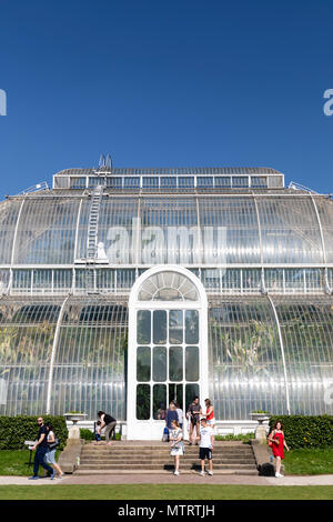 Außenansicht des Palm House an der Royal Botanic Gardens, Kew, Richmond upon Thames, London, Vereinigtes Königreich. Stockfoto