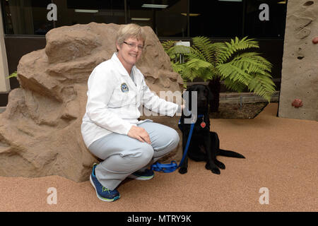 180515-N-IE 405-1016 SAN DIEGO (23. Mai 2018) Naval Medical Center San Diego (NMCSD) Nurse practitioner und Canine handler Annelise Braun wirft mit Helena, neue Anlage pflege Hund der Lazarett. Helena ist zwei Jahre alt und ist bereits ein Veteran in der Unterstützung des ärztlichen Personal und emotionale Unterstützung der Patienten mit Hirn trauma Verletzung und Patienten, die eine Behandlung in der umfassenden und komplexen Unfallversicherung Care (C5). Helena wurde angehoben und durch Freiwillige ausgebildet, um eine service Hund zu sein und trägt eine einzigartige blaue Hunde- Abzeichen, dass Ihr unterscheidet als Teil eines Veteranen init Stockfoto