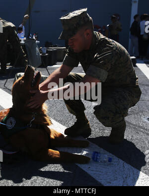 Service Hunde in der Ausbildung mit sehenden Auge Welpen Anheben Programm verbrachte Zeit mit Marinesoldaten und Matrosen an Bord der USS Arlington LPD (24) während der Fleet Week New York, 24. Mai 2018. Flotte Woche NYC ist eine Gelegenheit für die amerikanische Öffentlichkeit ihre Marine Corps, Navy und der Coast Guard Teams zu treffen und America's Meer Dienstleistungen Erfahrung. (U.S. Marine Corps Foto von Lance Cpl. Heather Atherton) Stockfoto