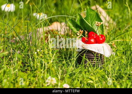 Horizontale Foto mit alten Vintage Dose voller roter frische Kirschen. Die Dose ist in höheren grünes Gras mit wenigen weißen Margeriten im Hintergrund platziert. Fr Stockfoto