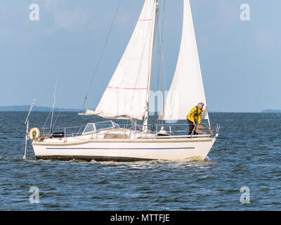 Mann auf dem Vordeck der Segelboot Segeln auf dem IJsselmeer, in der Nähe von Enkhuizen, Niederlande Stockfoto