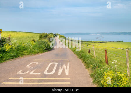 Ein "LOW"-Schild gemalt, über die gesamte Breite der Fahrbahn warnt den Autofahrer bei der Aushandlung einer der vielen engen, gewundenen Straßen in extra dafür zu sorgen Stockfoto