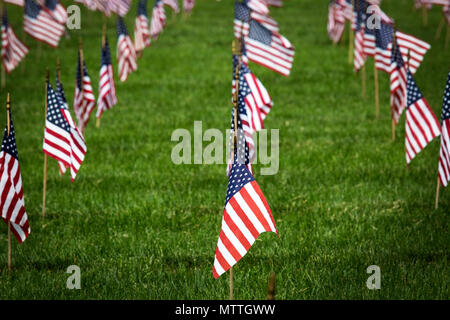 Amerikanische Fahnen von den Pfadfindern und Pfadfinderinnen platziert Mark die Grabsteine an der Brigadier General William C. Doyle Memorial Cemetery, Wrightstown, N.J., 26. Mai 2018. (New Jersey National Guard Foto von Mark C. Olsen) Stockfoto