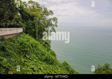 Batumi Botanischer Garten ist ein 108 Hektar großes Gebiet, 9 km nördlich der Stadt Batumi, der Hauptstadt der Autonomen Republik Adscharien, Georgia. Stockfoto