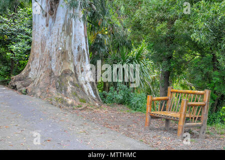 Batumi Botanischer Garten ist ein 108 Hektar großes Gebiet, 9 km nördlich der Stadt Batumi, der Hauptstadt der Autonomen Republik Adscharien, Georgia. Stockfoto