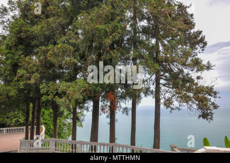 Batumi Botanischer Garten ist ein 108 Hektar großes Gebiet, 9 km nördlich der Stadt Batumi, der Hauptstadt der Autonomen Republik Adscharien, Georgia. Stockfoto