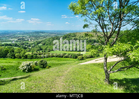 Blick auf crickley Hill und Severn Vale von Barrow Wake Sicht, in der Nähe von Birdlip, Gloucestershire, UK; England Stockfoto