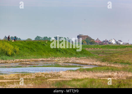 Anzeigen von Salzwasser Marsh shingle street Suffolk UK Stockfoto