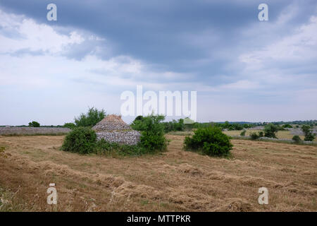 Trullo Hütte im Bereich der Schnitt Weizen Stengel in Zeilen links nach der Ernte. Murgia Landschaft. Apulien, Italien Stockfoto