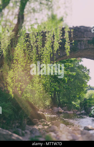 Hervas Brücke, Caceres Stockfoto