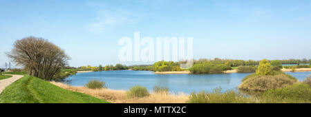 Panorama von einer typisch holländische Landschaft mit uiterwaarden des Flusses Waal, in der Nähe von Heusden in den Niederlanden Stockfoto