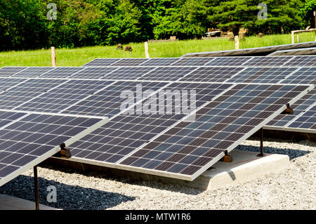 Nahaufnahme von Solarmodulen mit Schwerpunkt auf der Vorderseite. Cades Cove Tennessee Stockfoto