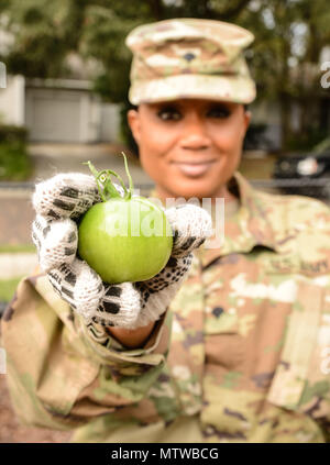 Armee SPC. Ikeisha Q. Wills, ein Atlanta, Ga., native als Human Resources Specialist, Headquarters and Headquarters Company, 143d Sustainment Command (Auslandseinsätze), hält eine grüne Tomate aus dem Norden Colonialtown Gemeinschaft garten Jan. 27, 2017, in Orlando, Fla., Testamente und sechs andere Armee finden Soldaten schlossen sich zahlreiche freiwillige Helfer der Stadt älteste Gemeinschaft knoopjes zurück zu seinem früheren, grüner Herrlichkeit zu holen. Unter der Regie von Grünen Werke Orlando in Verbindung mit der NFL Umweltprogramm, Wiederbelebung der Garten war eines von vielen Projekten der Gemeinschaft beide Organisationen Mann Stockfoto