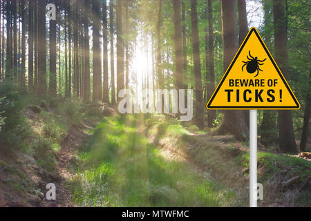 Gelbes Warnschild "Vorsicht vor Zecken' auf einer sonnigen Lichtung im Wald Stockfoto