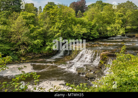 Mitte fällt, Aysgarth, Wensleydale, Yorkshire Dales National Park, UK im späten Frühjahr mit sehr niedrigem Wasserstand Stockfoto