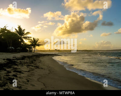 Schönen Sonnenuntergang über dem Meer mit Blick auf Palmen am weißen Strand in Guadeloupe, Karibik, Antillen. Stockfoto