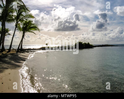 Kokospalmen, türkisfarbene Meer und den weißen Sandstrand von Sainte-Anne bei Sonnenuntergang in Guadeloupe, Grande-Teerre, Antillen, Karibik. Stockfoto