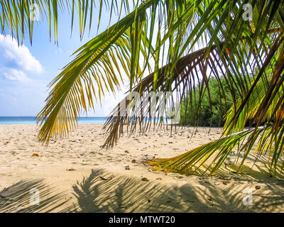 Tropische Landschaft der Malediven im Indischen Ozean mit türkisblauem Meer und weißen Sandstrand durch Palme treibt. Stockfoto