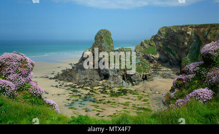 Eine Struktur, die auf eine verlassene Sandstrand mit türkisfarbenem Meer vom Meer aus Sparsamkeit Blüten im Vordergrund Watergate Bay, Newquay, Cornwall eingerahmt. Großbritannien Stockfoto