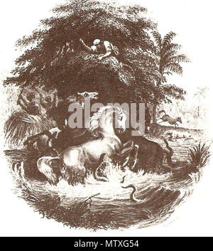 . Español: phantásien Descripcion de Alexander von Humboldt sobre la captura de tembladores (Electrophorus electricus) empleando Caballos publicada en 1860 en Der naturforscher London. 1860. Der Naturforscher Bibliothek London. 1860. 477 Pesca de Electrophorus electricus segun Alexander von Humboldt Stockfoto