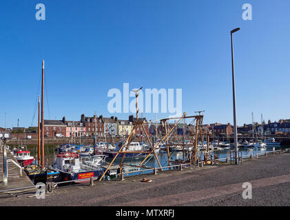 Blick über die Marina im Arbroath Inner Harbour und auf den bunt bemalten Häuser, die entlang des Kais liegen. Arbroath, Angus, Schottland. Stockfoto