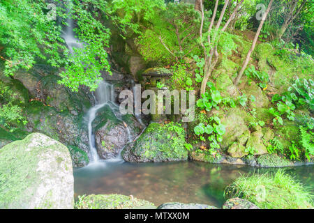 Kleine seidig Wasserfall durch den Wald laufen in einen Pool. Stockfoto