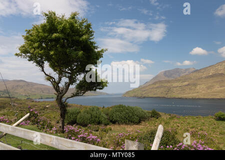 Landschaft Irland, Connemara Landschaft, Connemara, Irland Stockfoto