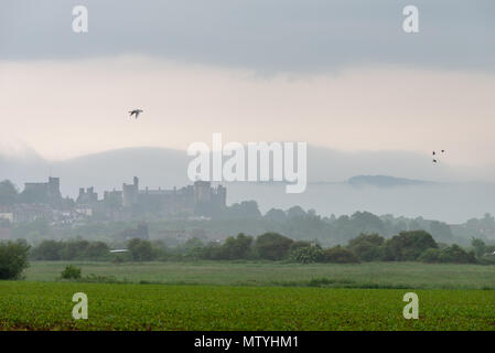 Arundel Castle und die Stadt von Arundel in West Sussex, England, eingehüllt in Nebel am frühen Morgen. Stockfoto