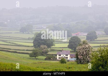 Flintshire, Großbritannien. 31. Mai 2018. UK Wetter: Misty Start in den Tag Flintshire, Wales Credit: DGDImages/Alamy leben Nachrichten Stockfoto