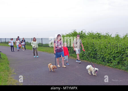 Clevedon, VEREINIGTES KÖNIGREICH. 31. Mai 2018. UK Wetter. Ruhe vor der Ankunft der Nachmittag Gewitter. Leute gesehen, die die meisten der sehr heißen und feuchten bewölkten Tag in Clevedon in North Somerset. Robert Timoney/Alamy/Live/Aktuelles Stockfoto