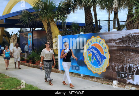 Marineland, USA. Mai 31, 2018 - Marineland, Florida, United States - Menschen besuchen Marineland Dolphin Adventure am 80. Jahrestag der Attraktion im Marineland, Florida am 31. Mai 2018. Der Park, der ersten Ozeanarium der Welt, die 1938 als Marine Studios geöffnet, damit Filmemacher Unterwasseraufnahmen und Besucher zu schießen, um zu sehen, Marine Life live und hautnah. Credit: Paul Hennessy/Alamy leben Nachrichten Stockfoto