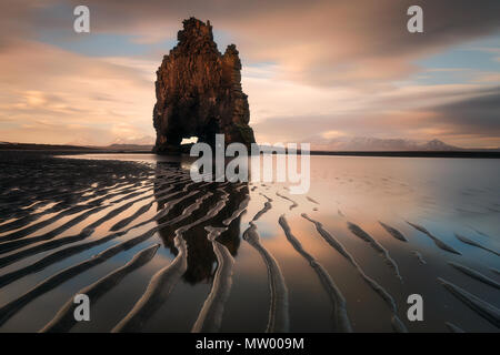 Trinken Dragon (hvítserkur) Felsbrocken auf Strand, Island Stockfoto